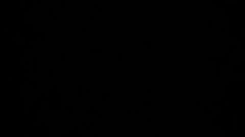 Snapshot of drmbaby chatting on 12/05/24, 04:53 Dreamie online show from 12/05/24, 04:53