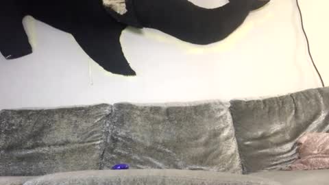 2xTheTrouble online show from 02/08/26, 03:21