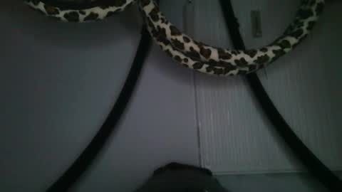 drolyts online show from 02/25/26, 03:05