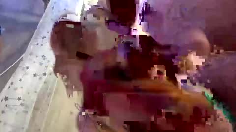 Snapshot of droppingloads82 chatting on 02/01/25, 07:15 droppingloads82 online show from 02/01/25, 07:15