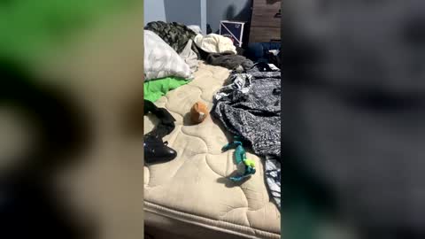 sissyginger online show from 04/03/26, 01:14