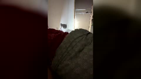 Snapshot of drzinedaj chatting on 03/08/26, 02:59 drzinedaj online show from 03/08/26, 02:59