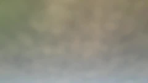 StraightStroker online show from 12/21/24, 06:55