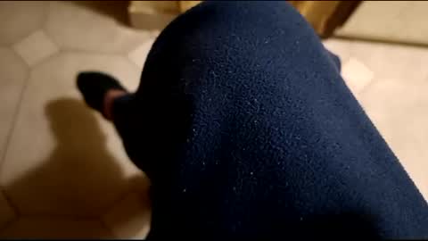 Snapshot of dthedog12 chatting on 02/21/25, 12:27 dthedog12 online show from 02/21/25, 12:27