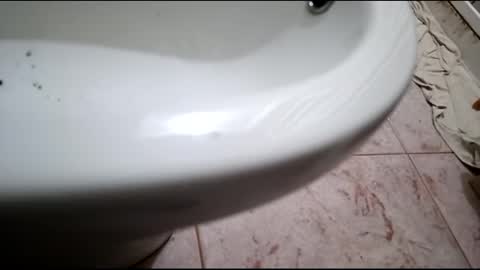 Snapshot of dthedog12 chatting on 02/24/25, 07:52 dthedog12 online show from 02/24/25, 07:52