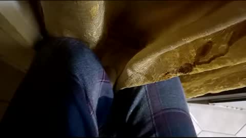 Snapshot of dthedog12 chatting on 03/12/25, 02:09 dthedog12 online show from 03/12/25, 02:09