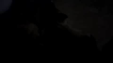 Snapshot of dthedog12 chatting on 10/05/25, 02:43 dthedog12 online show from 10/05/25, 02:43