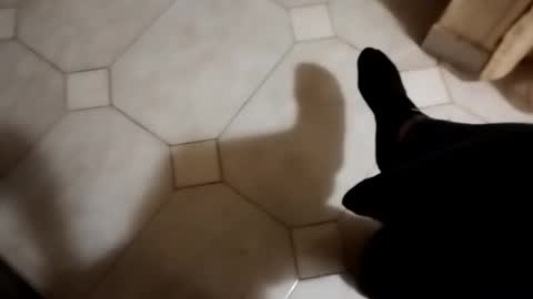 Snapshot of dthedog12 chatting on 10/22/25, 01:50 dthedog12 online show from 10/22/25, 01:50