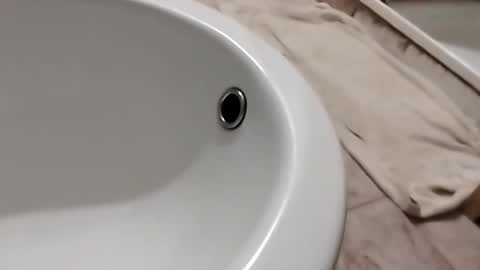 Snapshot of dthedog12 chatting on 11/01/25, 10:12 dthedog12 online show from 11/01/25, 10:12