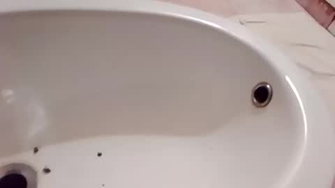 dthedog12 online show from 01/10/26, 08:21