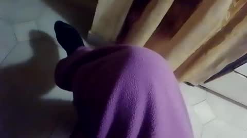 Snapshot of dthedog12 chatting on 02/10/26, 09:41 dthedog12 online show from 02/10/26, 09:41