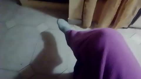 Snapshot of dthedog12 chatting on 02/19/26, 10:06 dthedog12 online show from 02/19/26, 10:06