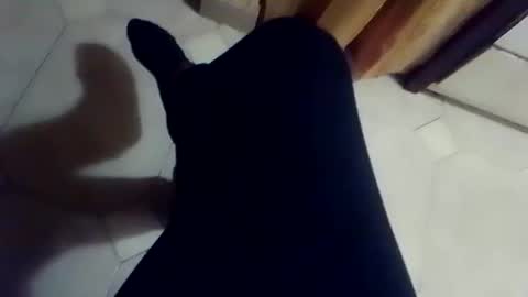 Snapshot of dthedog12 chatting on 03/02/26, 02:35 dthedog12 online show from 03/02/26, 02:35