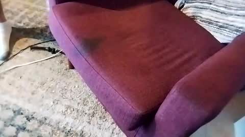 dtrain6969420 online show from 03/07/25, 02:46