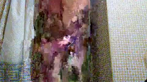 Snapshot of dublindub12 chatting on 03/02/25, 10:03 dublindub12 online show from 03/02/25, 10:03