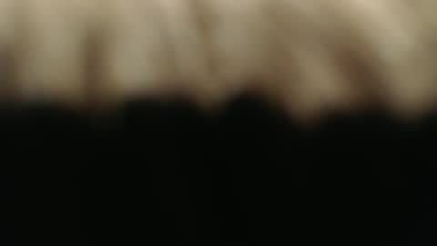 Snapshot of ductorfeelgood chatting on 03/01/25, 07:15 swiss kiss online show from 03/01/25, 07:15