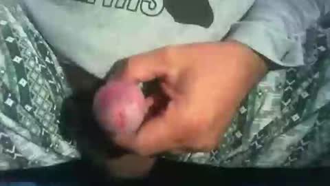 dude_13 online show from 10/16/25, 04:13