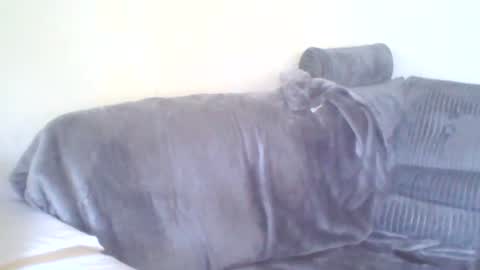 chris online show from 06/15/26, 04:42