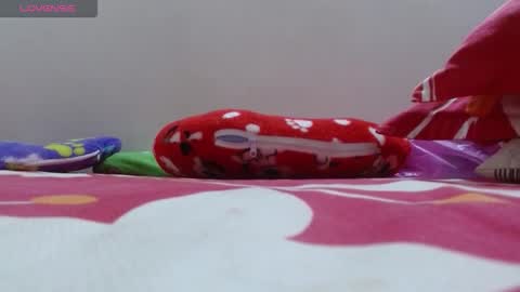 dulce online show from 11/24/25, 02:17