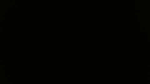 DULCE MARIA online show from 06/04/26, 04:51