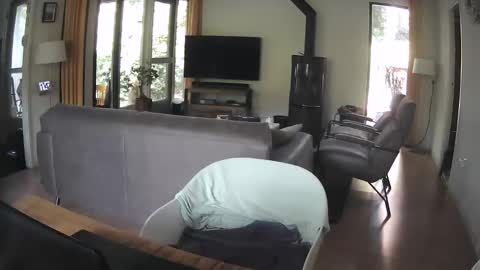 dutchsmooth online show from 09/10/25, 09:42