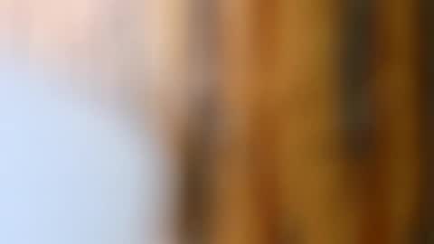 dVe1oPe online show from 10/14/25, 09:21