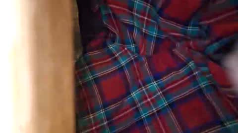 Snapshot of dvelope chatting on 03/21/26, 09:25 dVe1oPe online show from 03/21/26, 09:25