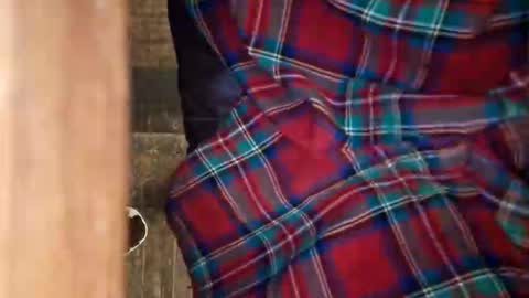 Snapshot of dvelope chatting on 04/11/26, 10:19 dVe1oPe online show from 04/11/26, 10:19