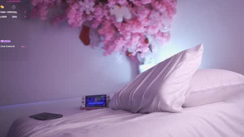 Dwayne xx online show from 12/21/24, 04:03