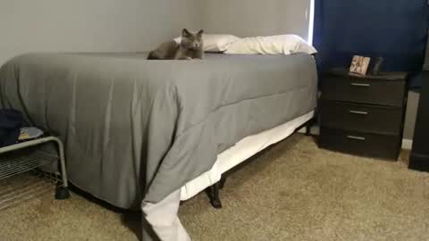 Snapshot of dwhitey4u chatting on 12/31/24, 08:02 dwhitey4u online show from 12/31/24, 08:02