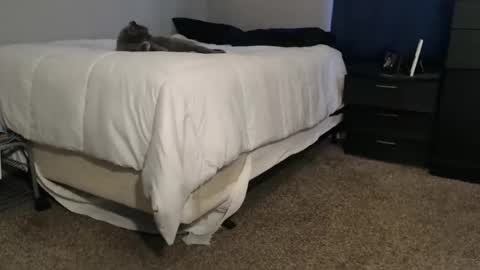 Snapshot of dwhitey4u chatting on 11/02/25, 08:00 dwhitey4u online show from 11/02/25, 08:00