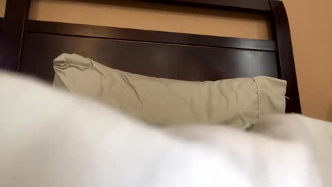 Snapshot of earl3232 chatting on 02/14/26, 09:33 earl3232 online show from 02/14/26, 09:33