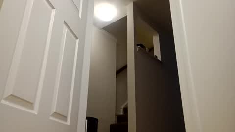 Snapshot of easternjerk chatting on 12/16/25, 11:04 easternjerk online show from 12/16/25, 11:04