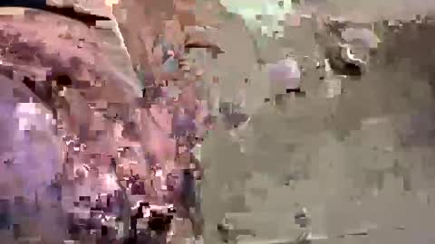 Snapshot of easye4015 chatting on 01/26/25, 07:41 Easye online show from 01/26/25, 07:41