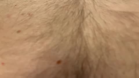 Snapshot of easyfrenchguy chatting on 04/01/26, 10:40 French Guy online show from 04/01/26, 10:40