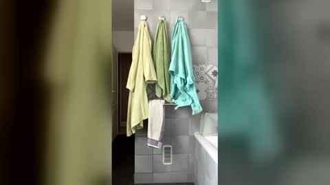 Snapshot of easyfrenchguy chatting on 04/15/26, 10:44 French Guy online show from 04/15/26, 10:44