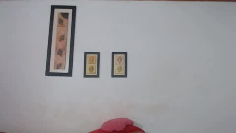 Laraand Drake online show from 01/20/25, 06:43