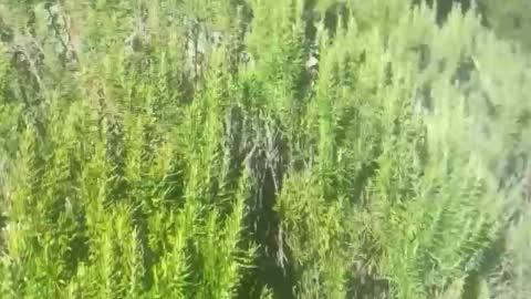 ebnk15 online show from 10/21/25, 01:12