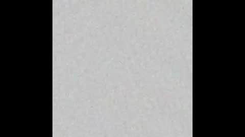 judy online show from 01/12/26, 03:23