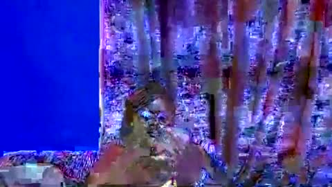 Snapshot of ebonybloom01 chatting on 09/20/25, 05:03 ebonybloom01 online show from 09/20/25, 05:03