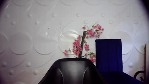 ebonykissxx online show from 06/26/26, 11:36