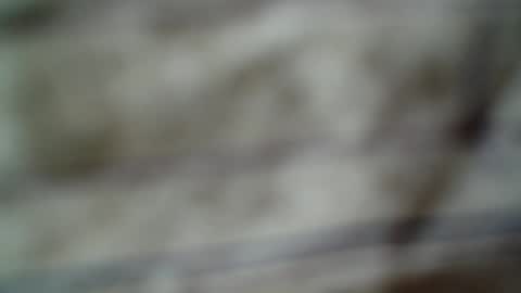 Snapshot of eddfox001 chatting on 06/14/26, 04:47 eddfox001 online show from 06/14/26, 04:47