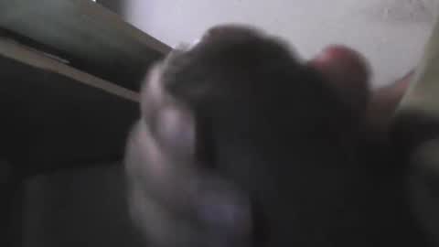 EddiesCock69 online show from 11/05/25, 09:20