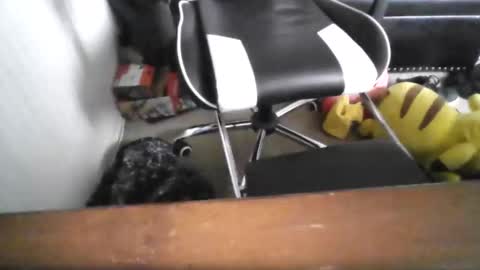 Snapshot of eddy815 chatting on 11/24/25, 10:53 eddy815 online show from 11/24/25, 10:53