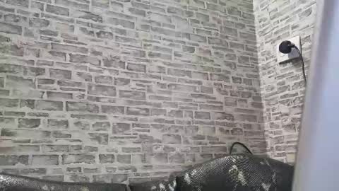 Snapshot of edithmanning chatting on 02/18/25, 01:55 edithmanning online show from 02/18/25, 01:55