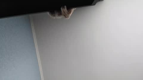 Snapshot of edithmanning chatting on 03/13/26, 05:47 edithmanning online show from 03/13/26, 05:47