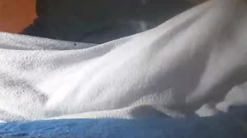 Snapshot of edivad91 chatting on 11/12/25, 06:36 Davide online show from 11/12/25, 06:36