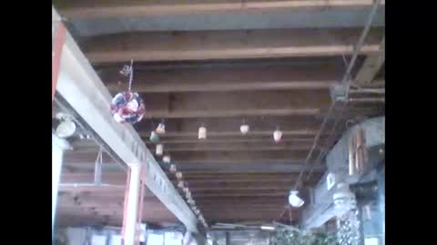 efriff online show from 04/18/26, 07:58