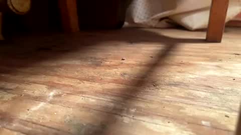 ehproject online show from 11/01/25, 08:27