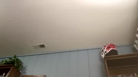 PiedPiper online show from 04/05/26, 11:18